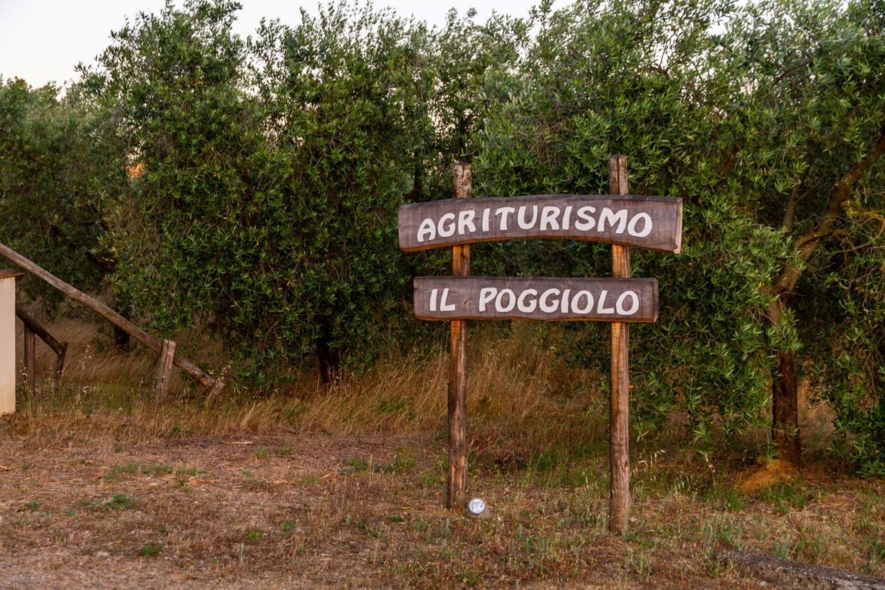 Agriturismo Il Poggiolo Villa Grosseto Luaran gambar